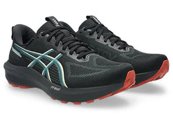 Asics GT-1000 14 GTX (Gore-Tex) Mens Shoe