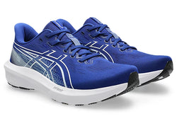 Asics GT-1000 15 Mens Shoe