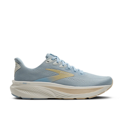 Brooks Ghost 17 Womens Shoe