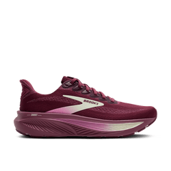 Brooks Ghost 17 Womens Shoe