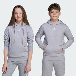 Adidas Essentials Small Logo Fleece Kids Hoodie