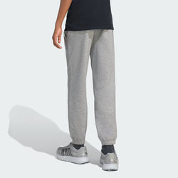 Adidas Essentials Small Logo Fleece Kids Pants