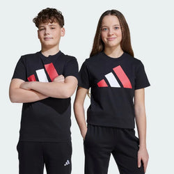 Adidas Big Logo Essentials Kids Tee