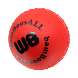 bamBoosALL Fun Cricket Ball