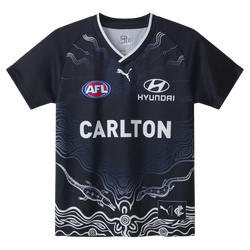 Carlton Blues 2025 Mens Warm Up Top - SPORTFIRST HERVEY BAY