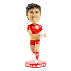 Dolphins Bobblehead - Herbie Farnworth - SPORTFIRST HERVEY BAY
