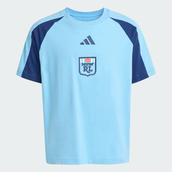 NSW Blues 2026 Colorblock Youth Tee
