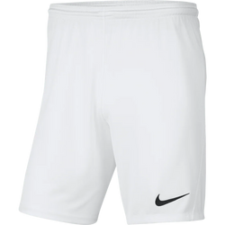 Nike Mens Dri-Fit Park III Shorts - SPORTFIRST HERVEY BAY