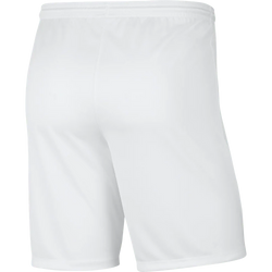 Nike Mens Dri-Fit Park III Shorts - SPORTFIRST HERVEY BAY