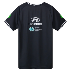 Puma 2025 Carlton Blues Training Tee - SPORTFIRST HERVEY BAY