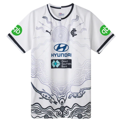 Puma 2025 Carlton Blues Training Tee - SPORTFIRST HERVEY BAY