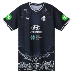Puma 2025 Carlton Blues Training Tee - SPORTFIRST HERVEY BAY