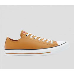 Converse Chuck Taylor All Star Summer Daze Low Top Shoe - SPORTFIRST HERVEY BAY