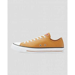 Converse Chuck Taylor All Star Summer Daze Low Top Shoe - SPORTFIRST HERVEY BAY